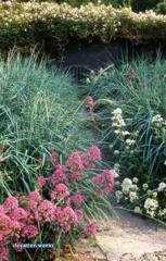 Location Works: formal gardens
